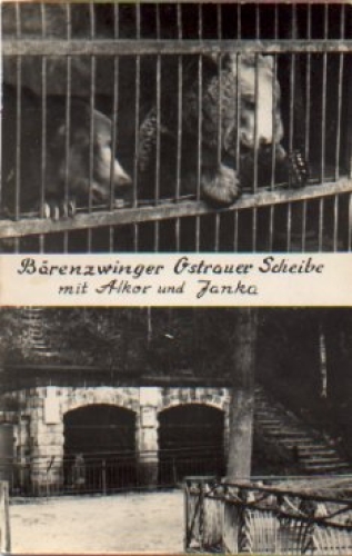 bears Kennel Ostrauer Scheibe with Alko and Janka br. around 1960
