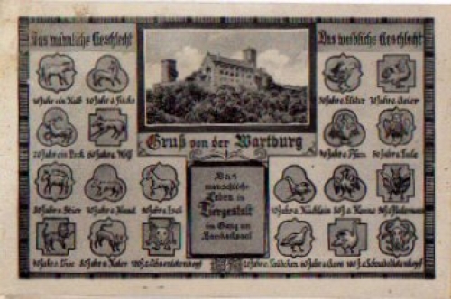 Eule Menschliche Leben in Tiergestalt Gruß von der Wartburg * ca. 1950