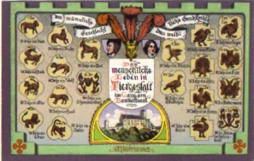 Eulen, Menschliche Leben in Tiergestalt, Farblitho, Wartburg, * ca. 1910