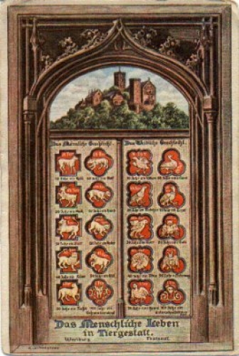 Owl, human life in animal form, Wartburg, * approx. 1920