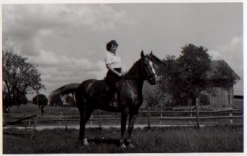 Rider on horse, real photo * approx. 1950