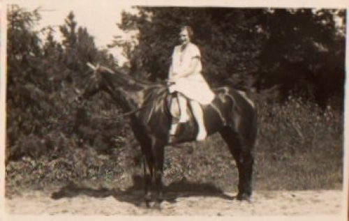 Rider on horse real photo used circa 1950