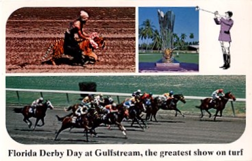 Racehorses Florida Derby Day at Gulfstream * ca. 1960