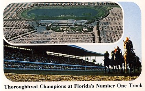 Racecourse, Thoroughbred, Florida * approx. 1960