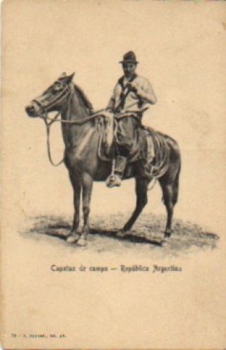 Horses Argentine rider cowboy * ca. 1910