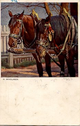 Horse team artist card H. Mikolasch o 7.1.1915