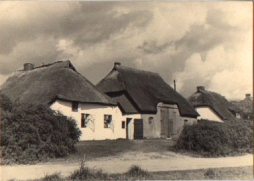 18565 Hiddensee Strassenansicht * ca. 1930 k. AK.