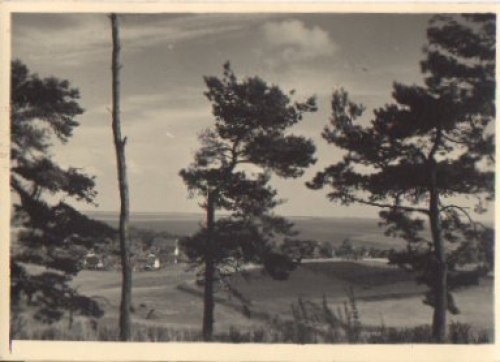 Hiddensee Kloster von Dornbusch * ca. 1955
