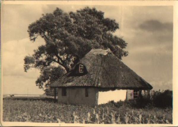 Insel Hiddensee Vitte Fischerhäuschen *ca. 1955