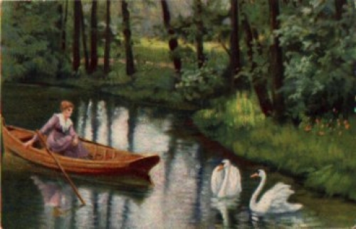 Swans, artist card A. Klaus o September 9, 1924