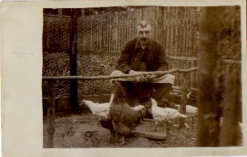 Man with chickens in barn real photo gebr. circa 1920
