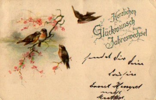 Birds on a branch at the turn of the year o 2.1.1901