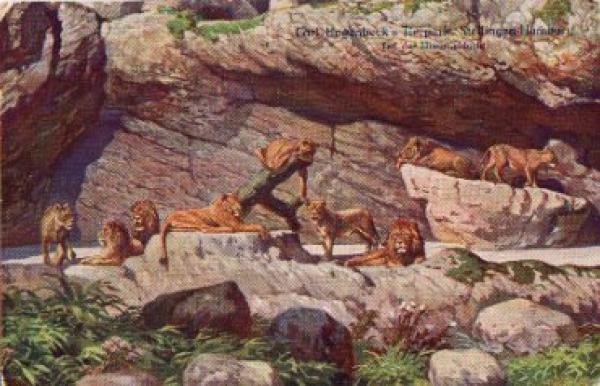 Hamburg Stellingen Carl Hagenbeck's Tierpark Zoological Garden  Lion's Canyon used circa 1962