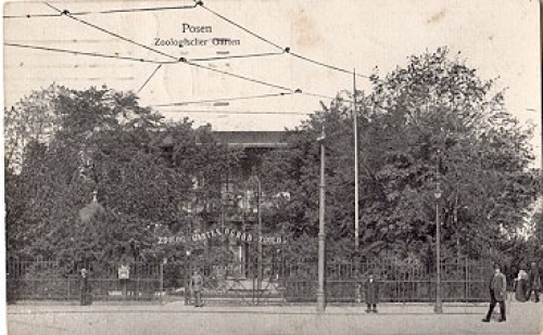 Posen, Zoologischer Garten  Tierpark o 05.11.1917