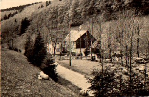 98711 Frauenwald Gaststätte Fraubachmühle o 1963