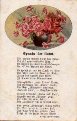 Carnation artist card "Language of Nature" * ca. 1910