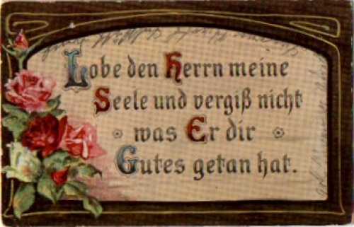Rosen vom 28.5.1917