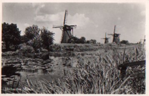Hollandse Molen windmills * ca. 1950
