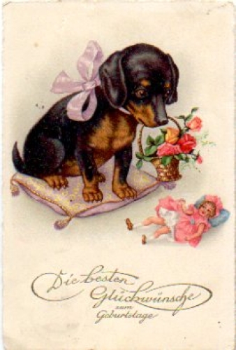 Dogs dachshund doll o 08/19/1930