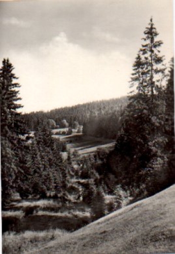 08349 Johanngeorgenstadt Steinbachtal gebr. ca. 1970
