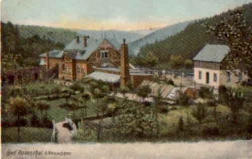 08491 Netzschkau Bad Rosenthal * ca. 1910