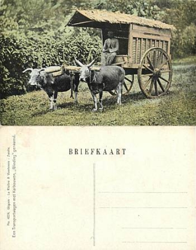 Java Tjimahi ox cart *ca. 1910 Dutch India