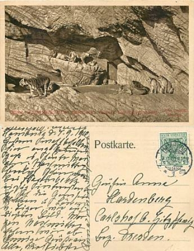 Hagenbeck Hamburg Tierpark Raubtiere Zoo o 7.9.1910