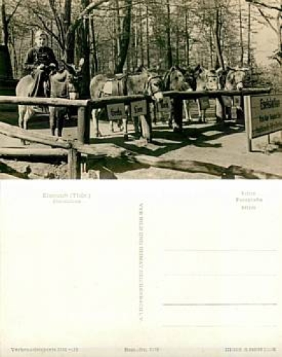 Donkey at the Wartburg near Eisenach *ca. 1960