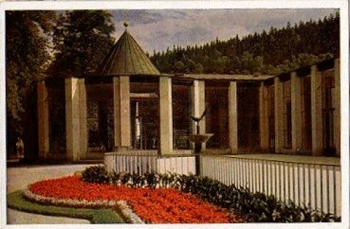 08645 Bad Elster Salzquelle *ca. 1960