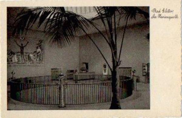 08645 Bad Elster Marienquelle * ca. 1950