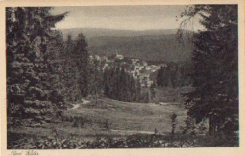 08645 Bad Elster * ca. 1930