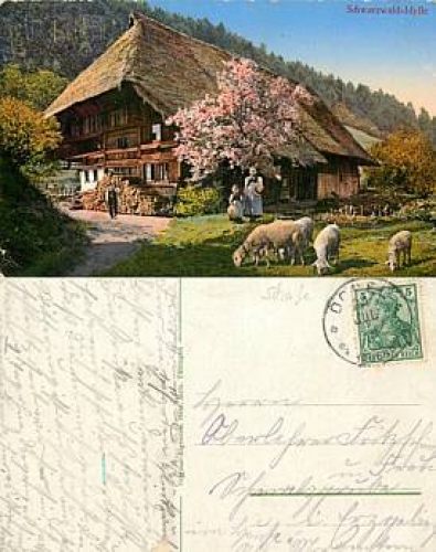 Sheep in front of a Black Forest house on July 24, 1907