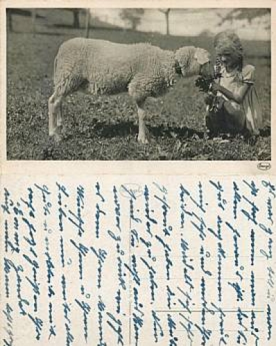 Sheep with girl *ca. 1940
