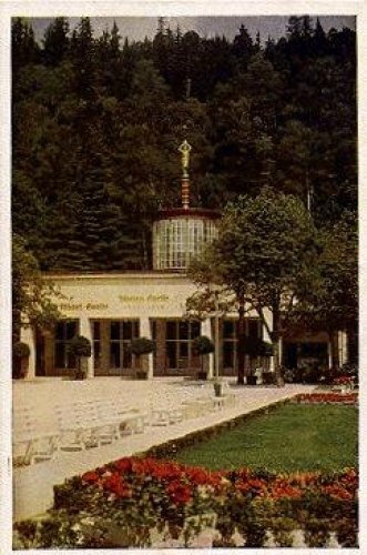 08645 Bad Elster Quellenhalle am Badeplatz *ca. 1960