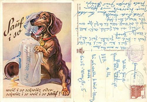 Dachshund with beer o 16.6.1966