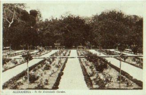 Egypt, Alexandria Antoniadis Garten *ca. 1910