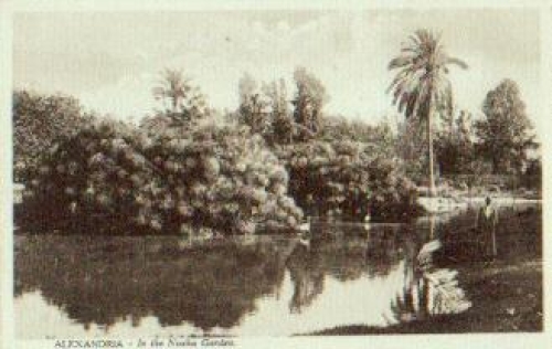 Egypt Alexandria In the Nuzha Garten *ca. 1910