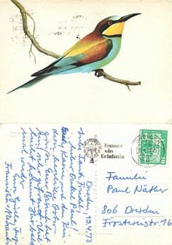 Birds o April 19, 1973