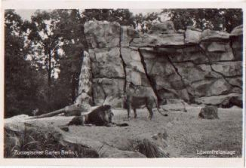 Berlin Tierpark Zoological Garden Lion enclosure *approx. 1950