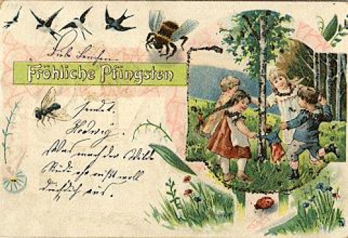 Birds Children Bumblebee Fly Beetle Greeting card o 21.5.1901
