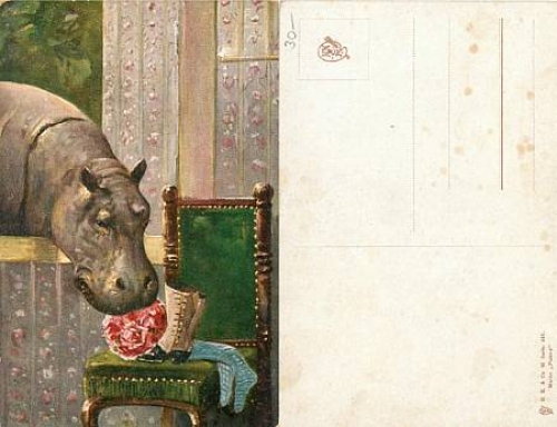 Hippo hippopotamus *approx. 1920