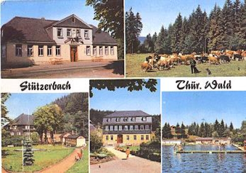 98714 Stutzerbach Cow o 14.8.1972