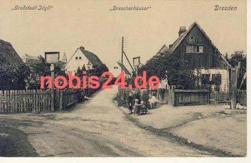 Ostragehaege Dresden Drescherhaeuser Grossstadt Idyll *ca.1900