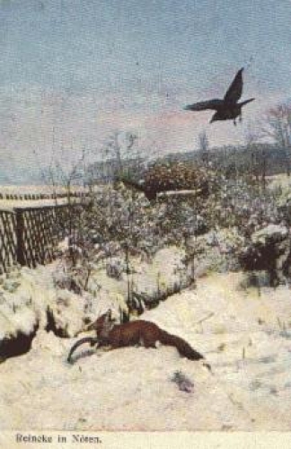 Hunting fox Reineke in distress o 9.2.1905