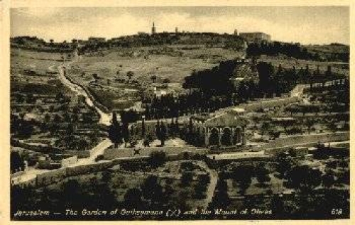 Israel Jerusalem Gethsemane Garden and Mount of Olives * approx. 1960