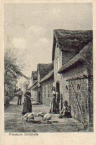 26000 Frisian village street geese *approx. 1910