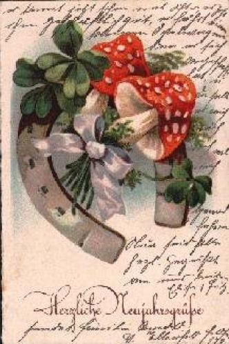 Mushrooms toadstool horseshoe clover brown 12/29/1933