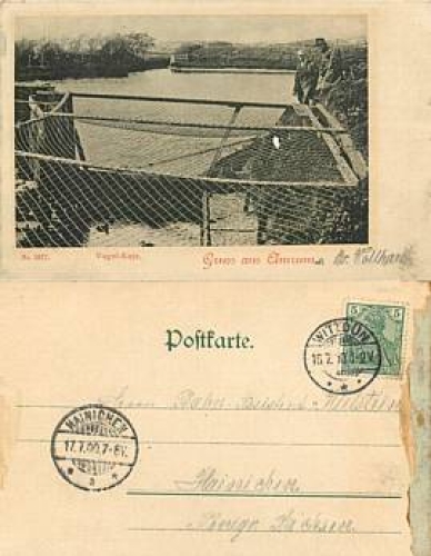 25946 Amrum Vogel bunk o 16.7.1900