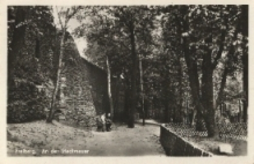 09599 Freiberg Sachsen An der Stadtmauer * ca. 1960