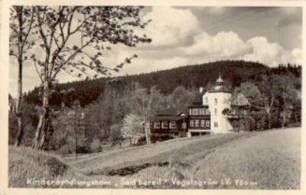 08209 Vogelsgrun Kindererholungsheim "Seid Bereit" o ca. 1955